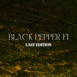 BLACK PEPPER F1