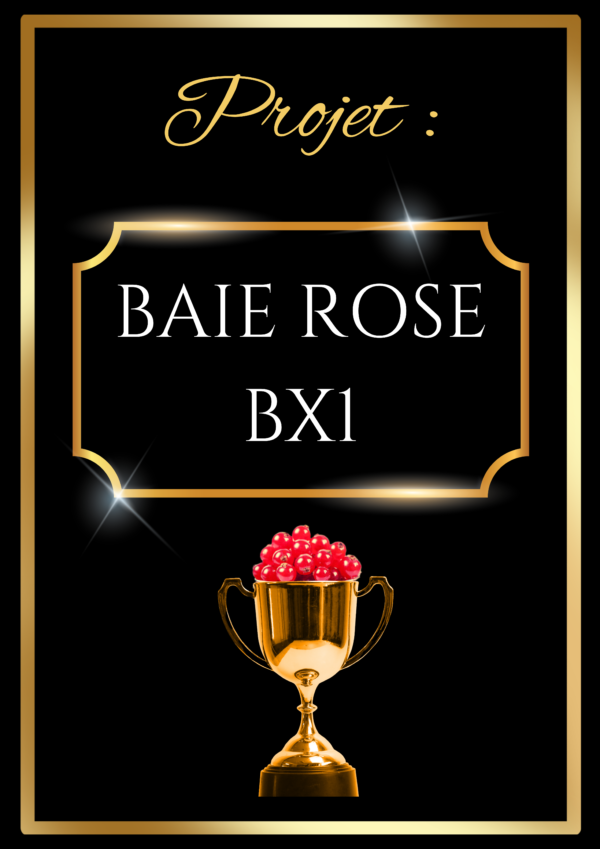 BAIE ROSE BX1