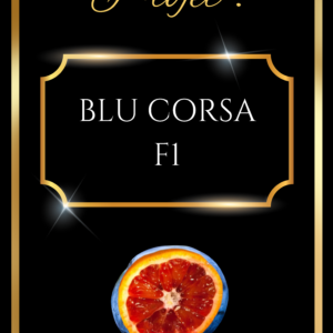 BLU CORSA F1