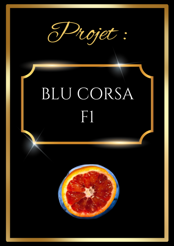 BLU CORSA F1