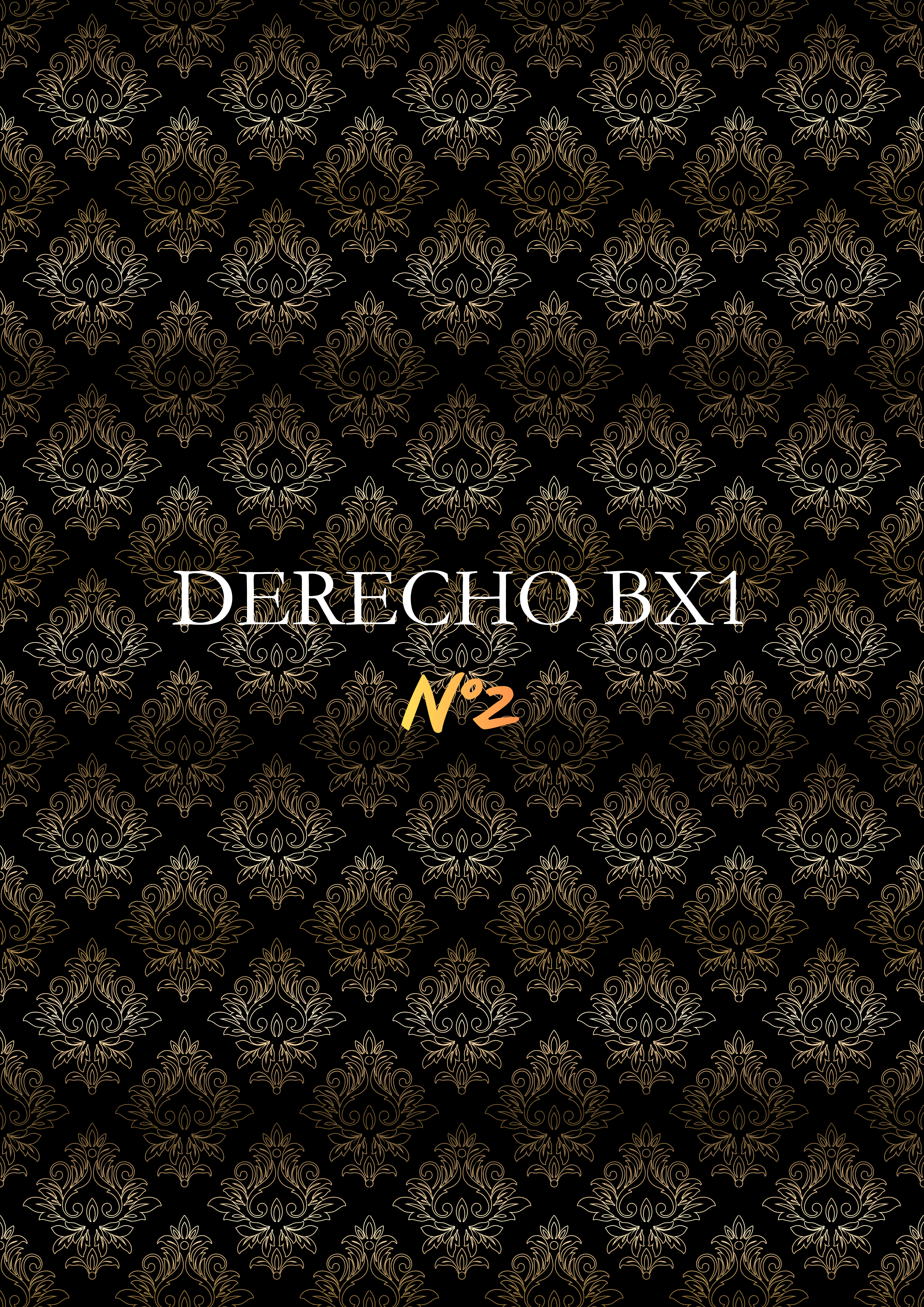 DERECHO BX1
