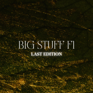 BIG STUFF F1