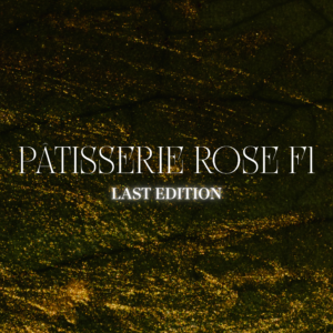 PÂTISSERIE ROSE F1