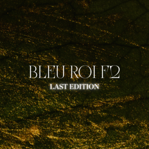BLEU ROI F2